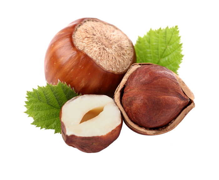 Noisette – Fruits Vaud Genève