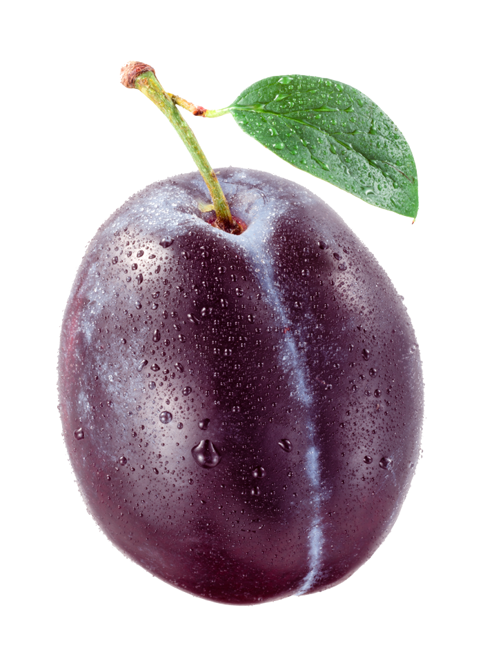 Prunes et pruneaux – Fruits Vaud Genève